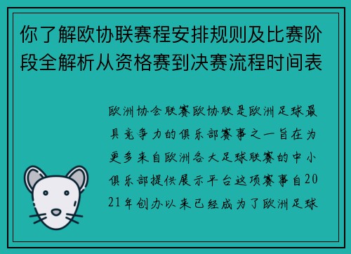 你了解欧协联赛程安排规则及比赛阶段全解析从资格赛到决赛流程时间表详解 你了解欧协联赛程安排规则及比赛阶段全解析从资格赛到决赛流程时间表详解